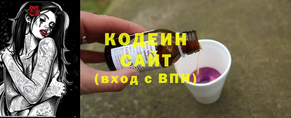 молекула духа Медвежьегорск