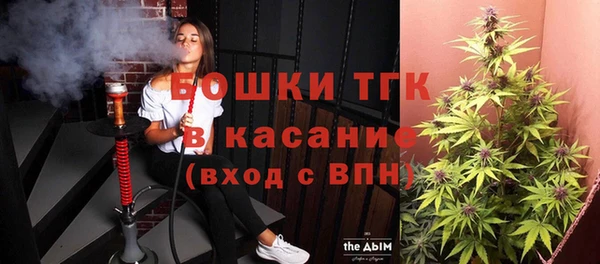 молекула духа Медвежьегорск