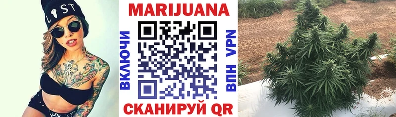 Марихуана гибрид  Кадников 